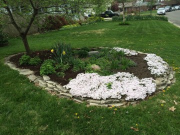 pear garden late april